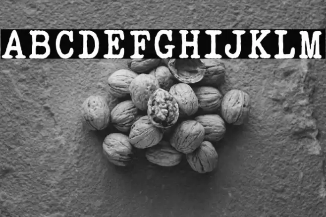 ELEGANT TYPEWRITER Bold Font examples