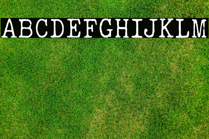 ELEGANT TYPEWRITER Light Example 2