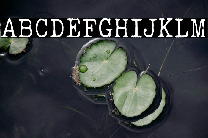 ELEGANT TYPEWRITER Light Example 3