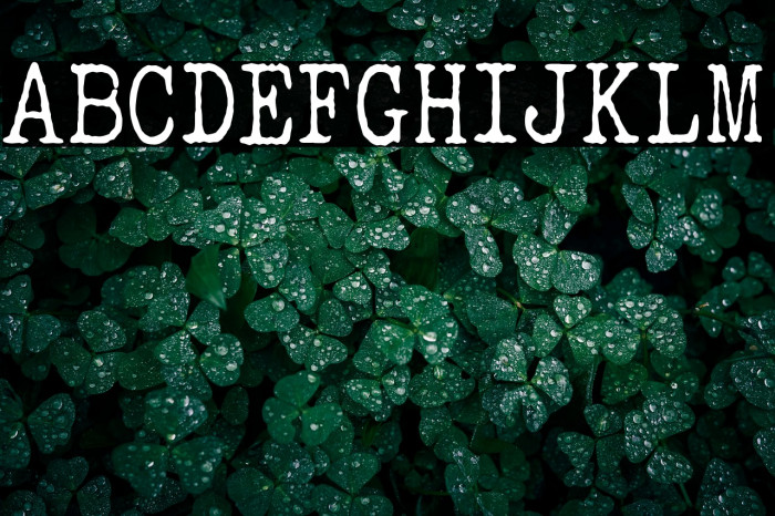 ELEGANT TYPEWRITER Example 1