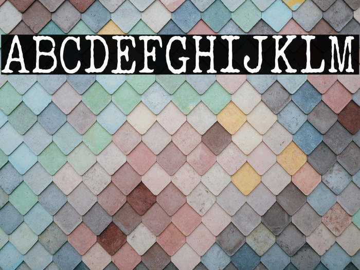 ELEGANT TYPEWRITER Example 3