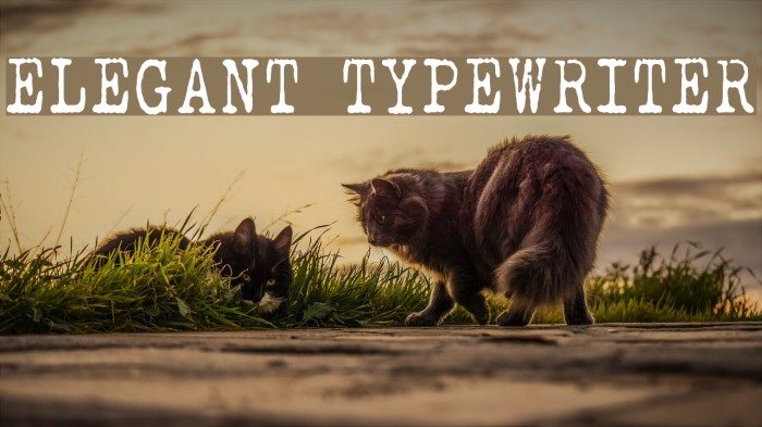 ELEGANT TYPEWRITER Font examples