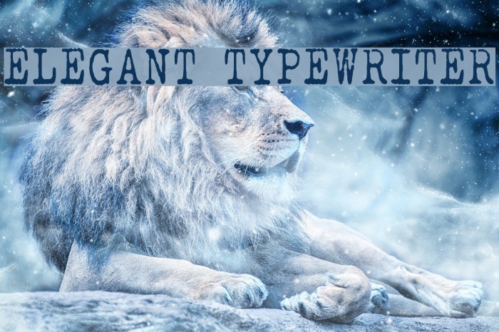 ELEGANT TYPEWRITER Font examples