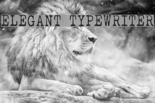 ELEGANT TYPEWRITER  examples