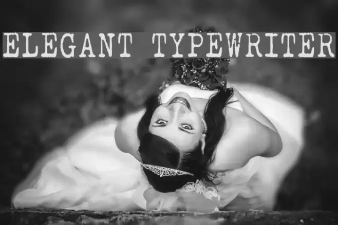 ELEGANT TYPEWRITER  examples