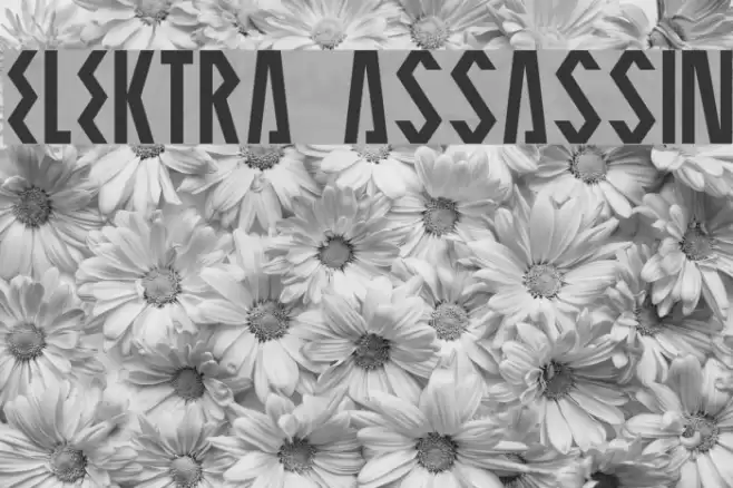 ELEKTRA ASSASSIN Schriftart examples