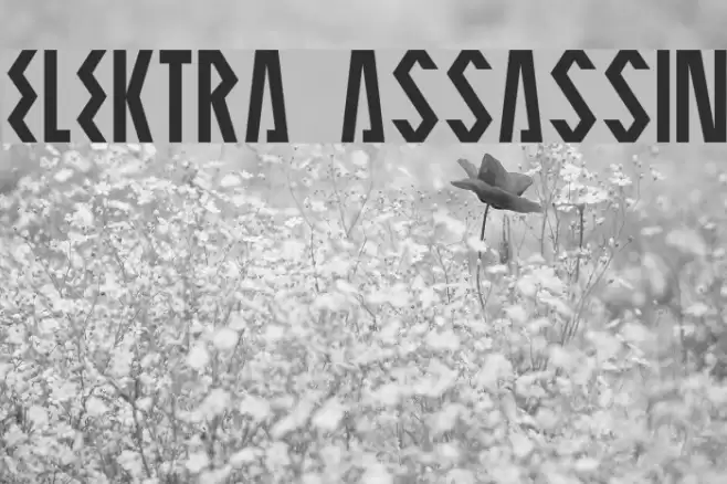 ELEKTRA ASSASSIN Schriftart examples