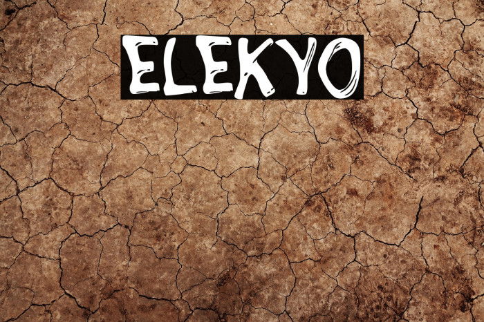 ELEKYO Example 1