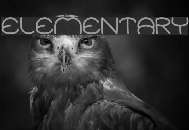 ELEMENTARY Font examples