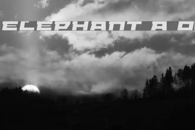 ELEPHANT A Oblique Polices examples