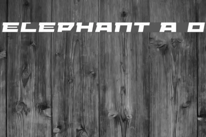 ELEPHANT A Oblique Polices examples