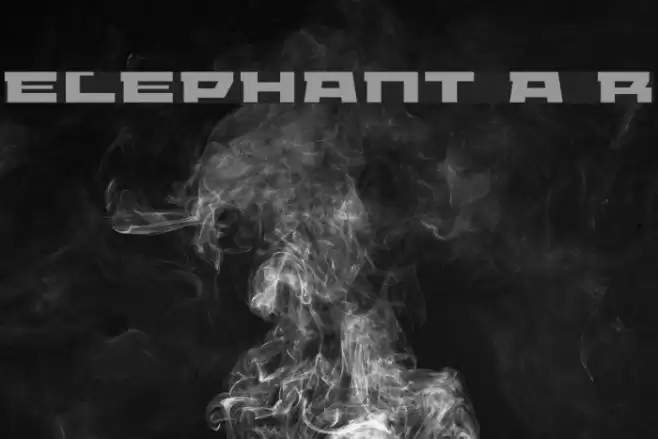 ELEPHANT A Regular Fonte examples