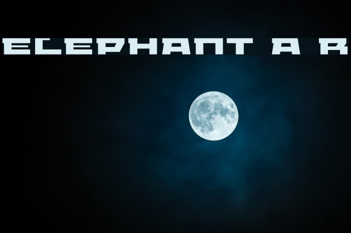 ELEPHANT A Regular لخطوط تنزيل examples