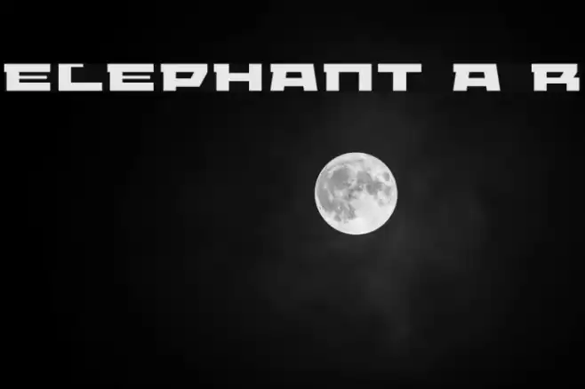 ELEPHANT A Regular Fonte examples