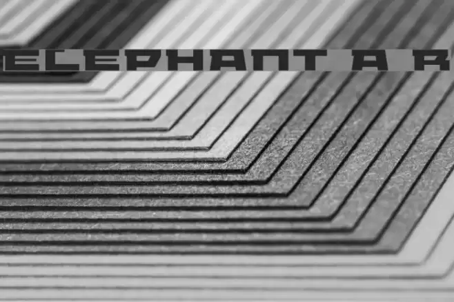 ELEPHANT A Regular Fonte examples