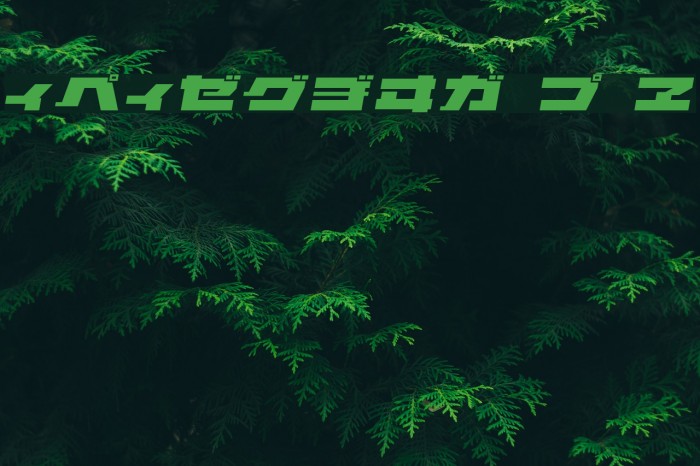 ELEPHANT K Oblique Font examples