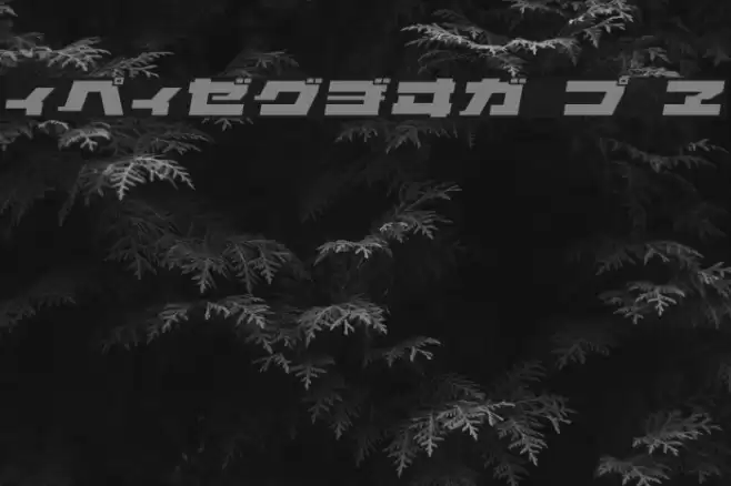 ELEPHANT K Oblique フォント examples