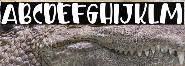 ELEPHANT WHILD Example 2