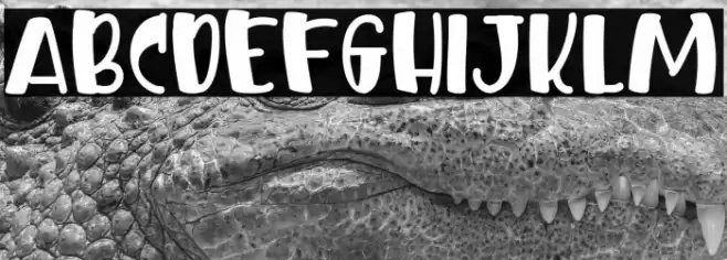 ELEPHANT WHILD Font examples