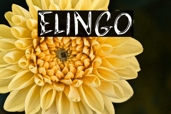 ELINGO Example 2