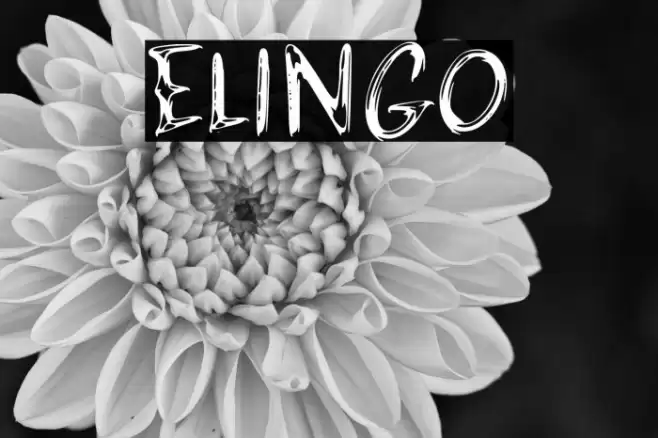 ELINGO Font examples