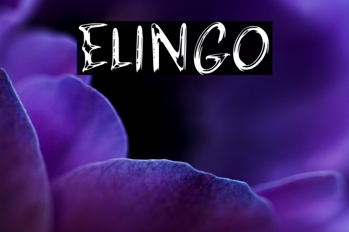 ELINGO Example 3