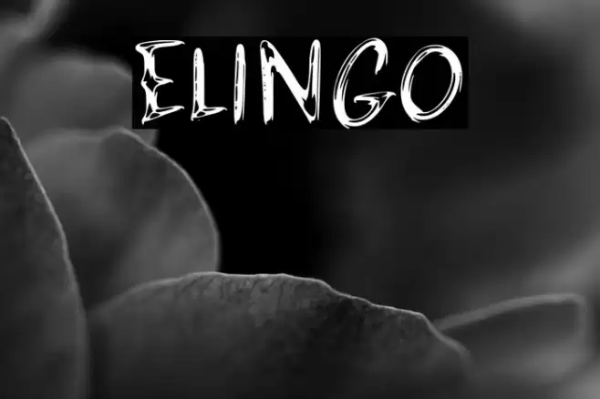 ELINGO Font examples