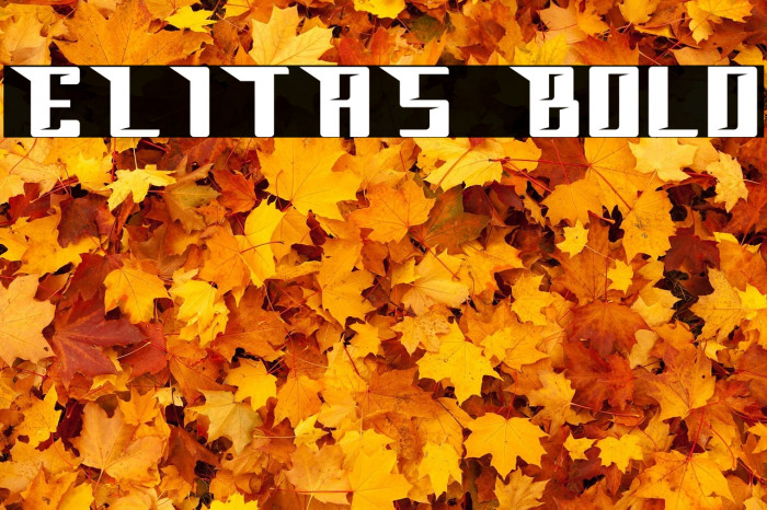 ELITAS Bold Example 1