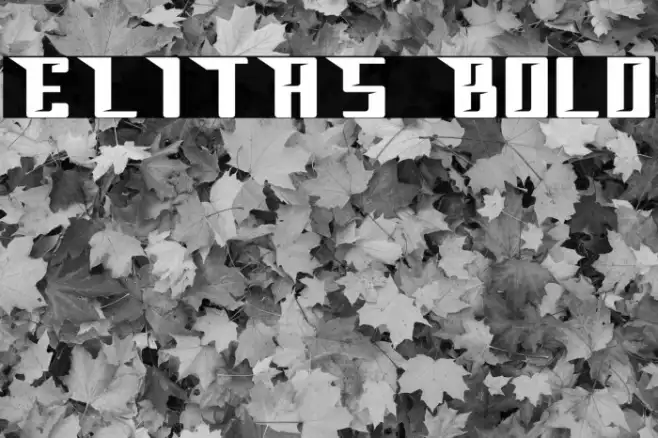 ELITAS Bold Example 1