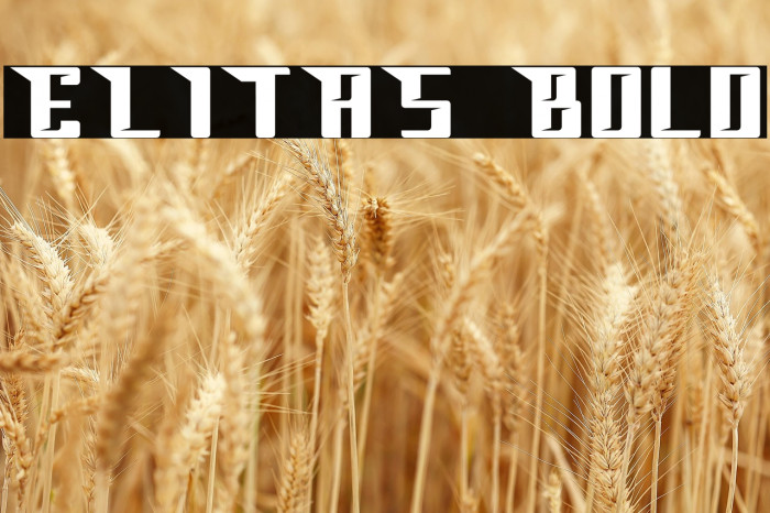 ELITAS Bold Example 2
