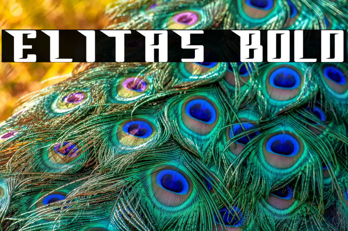 ELITAS Bold Example 3