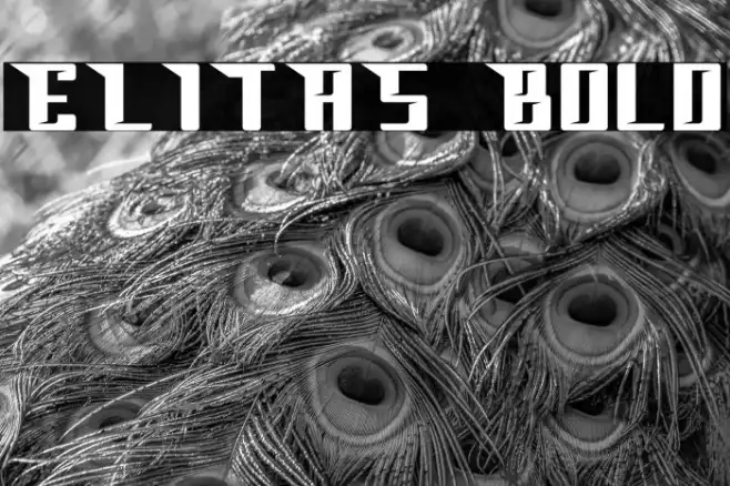 ELITAS Bold Example 3