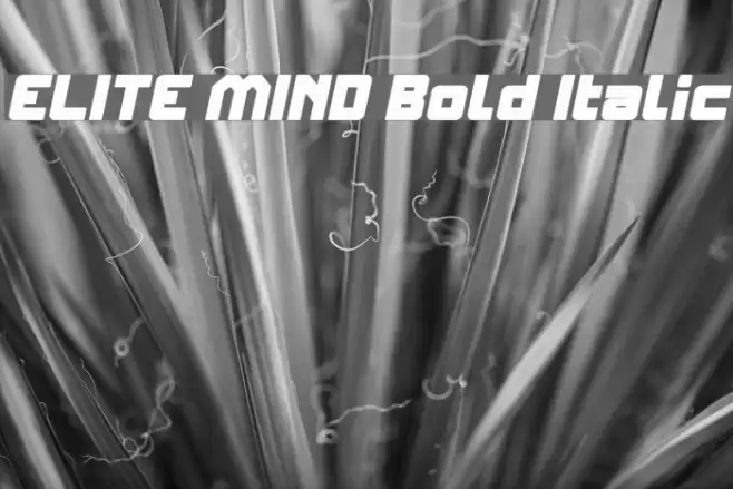 ELITE MIND Bold Italic Font examples
