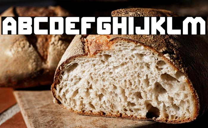 ELITE MIND Bold Example 1