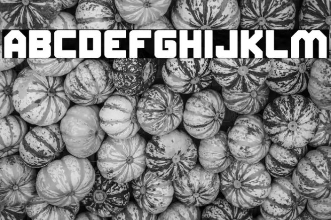 ELITE MIND Bold Example 2