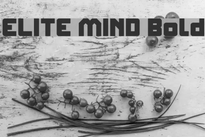 ELITE MIND Bold Font examples