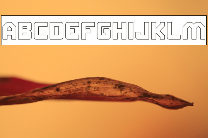 ELITE MIND-Hollow-Inverse Example 3