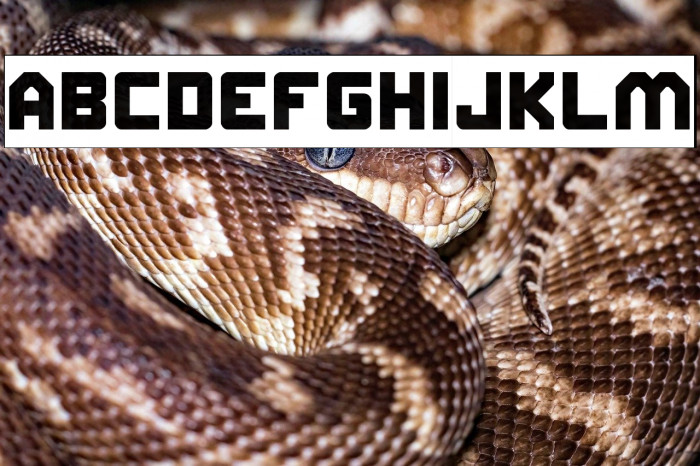 ELITE MIND-Inverse Example 2