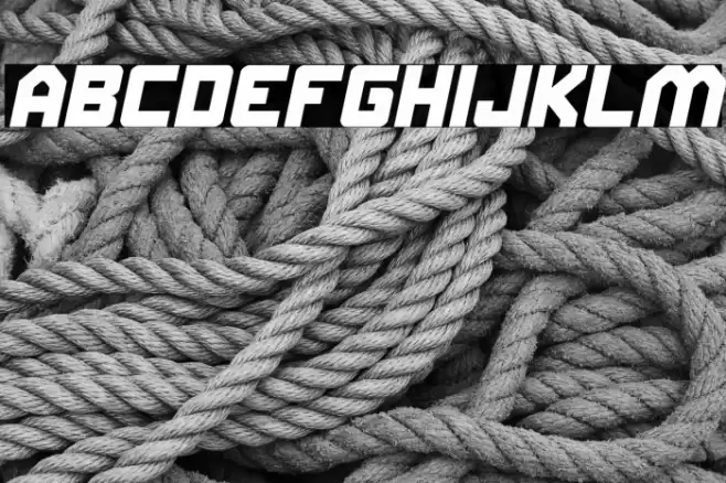 ELITE MIND Italic Font examples