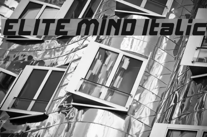 ELITE MIND Italic フォント examples