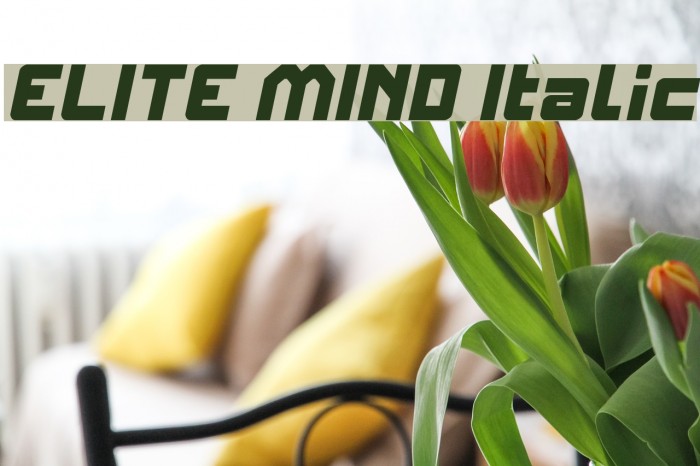 ELITE MIND Italic Font examples