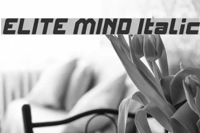 ELITE MIND Italic フォント examples