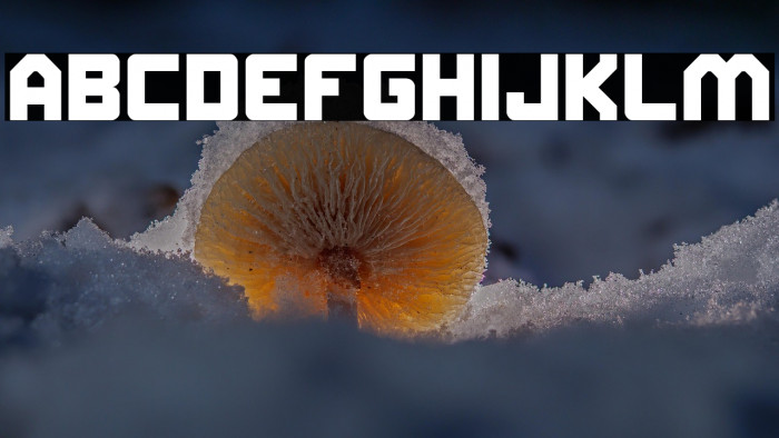 ELITE MIND Example 2