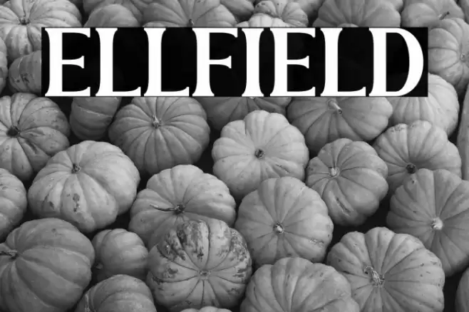 ELLFIELD Font examples