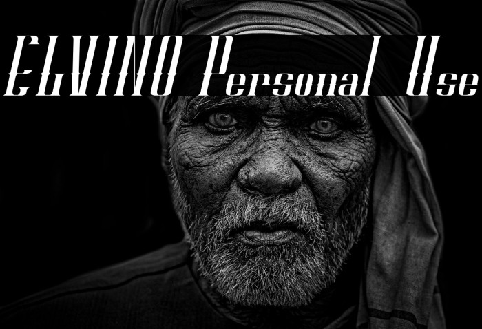 ELVINO Personal Use Example 1