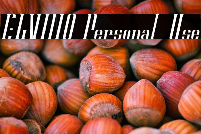 ELVINO Personal Use Example 2