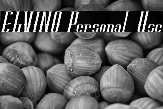 ELVINO Personal Use Example 2