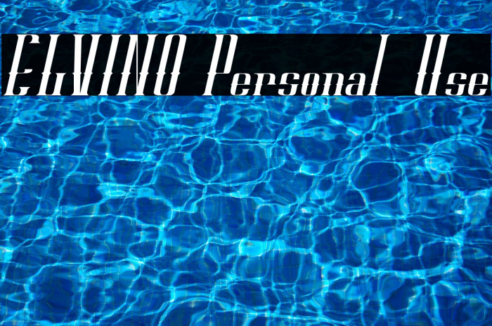 ELVINO Personal Use Example 3