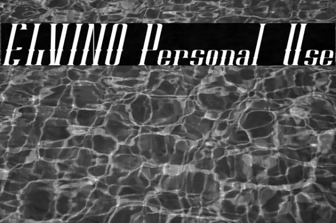 ELVINO Personal Use Example 3