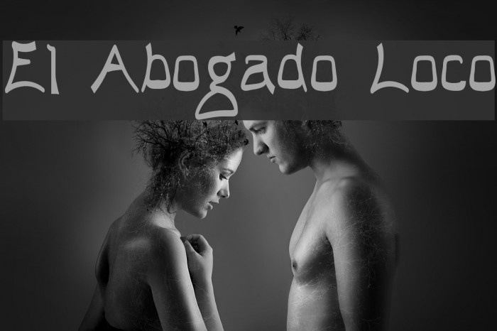 El Abogado Loco Polices examples